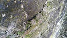 acastle
                          105305.jpg
